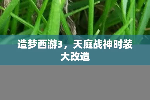 天庭战神时装大改造图片