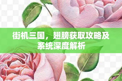 翅膀获取攻略及系统深度解析图片
