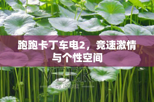 竞速激情与个性空间图片