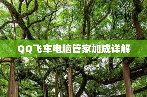 QQ飞车电脑管家加成详解图片
