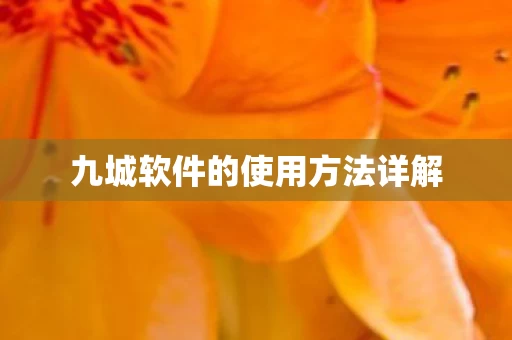 九城软件的使用方法详解图片