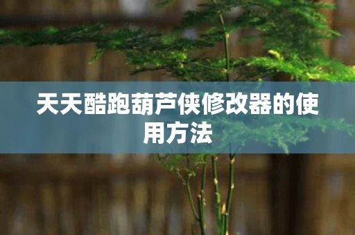天天酷跑葫芦侠修改器的使用方法图片