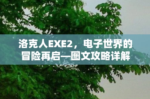 电子世界的冒险再启图片