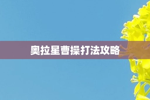 奥拉星曹操打法攻略图片