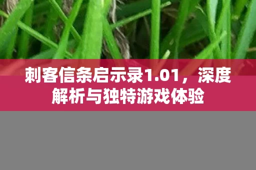 深度解析与独特游戏体验图片