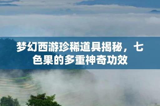 梦幻西游珍稀道具揭秘图片