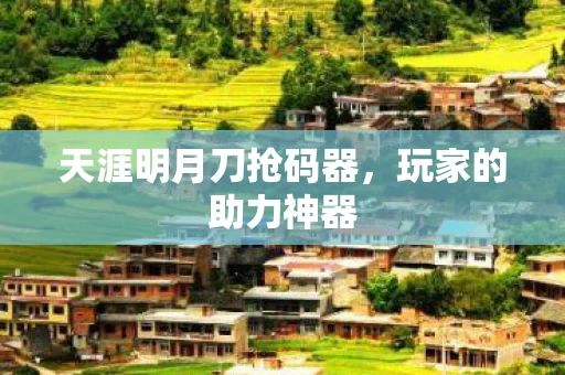 天涯明月刀抢码器图片