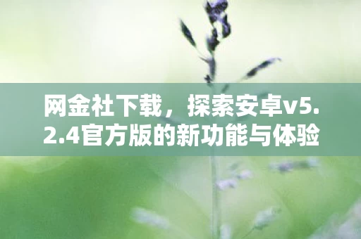 4官方版的新功能与体验图片