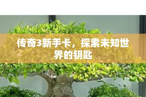 探索未知世界的钥匙图片