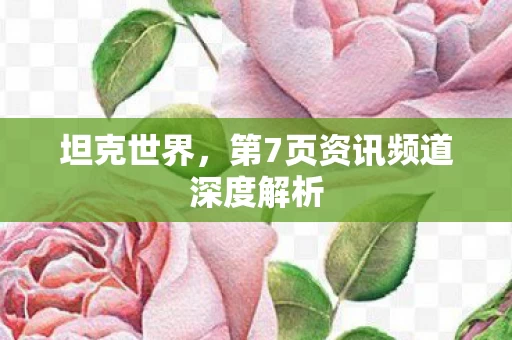 第7页资讯频道深度解析图片