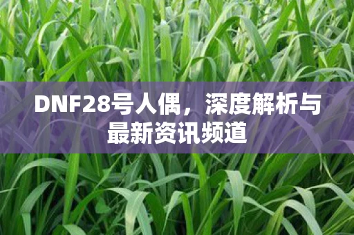 深度解析与最新资讯频道图片