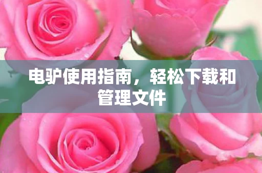 轻松下载和管理文件图片