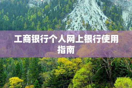 工商银行个人网上银行使用指南图片