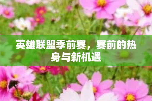 赛前的热身与新机遇图片