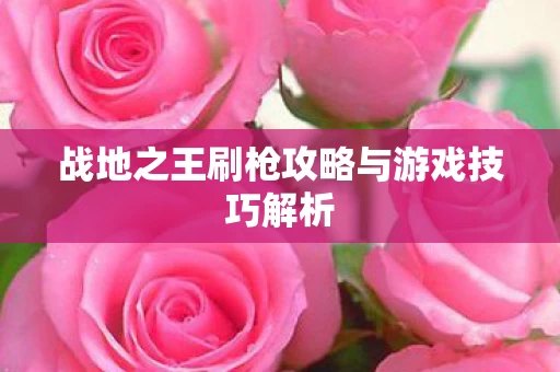 战地之王刷枪攻略与游戏技巧解析图片