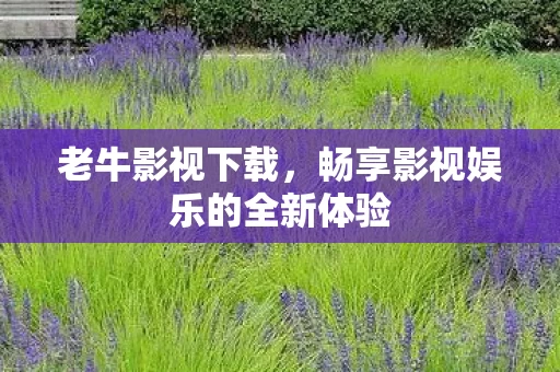 畅享影视娱乐的全新体验图片