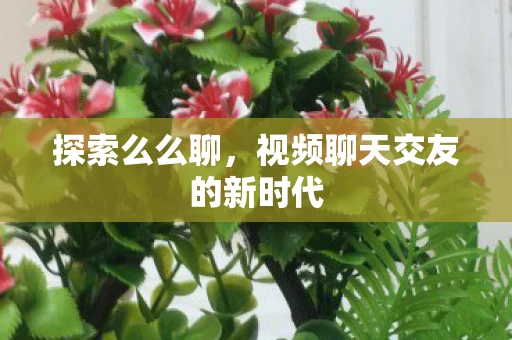 视频聊天交友的新时代图片