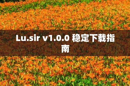 0 稳定下载指南图片