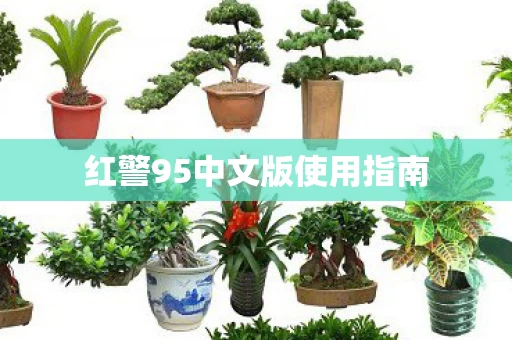 红警95中文版使用指南图片