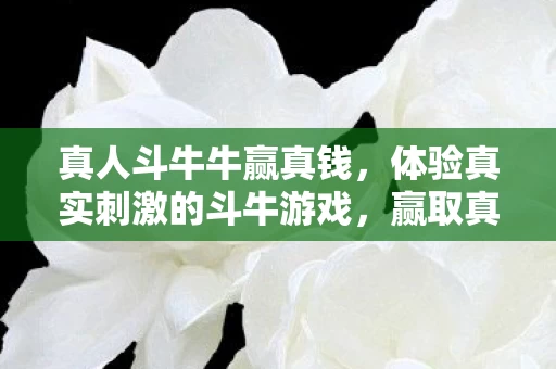 体验真实刺激的斗牛游戏图片