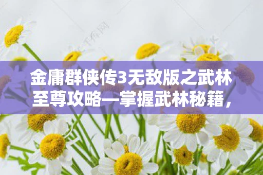 金庸群侠传3无敌版之武林至尊攻略图片