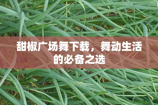 舞动生活的必备之选图片