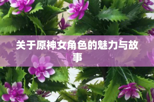 关于原神女角色的魅力与故事图片