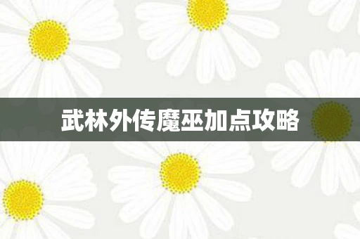 武林外传魔巫加点攻略图片