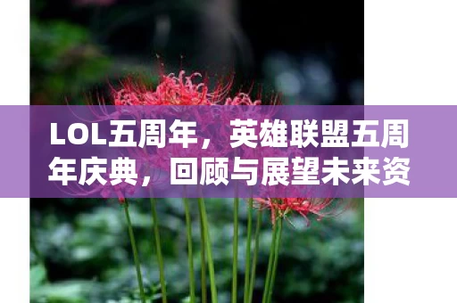 回顾与展望未来资讯频道图片