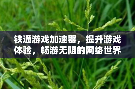 畅游无阻的网络世界图片