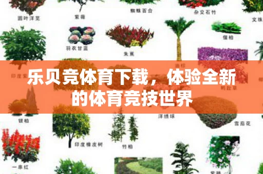 体验全新的体育竞技世界图片