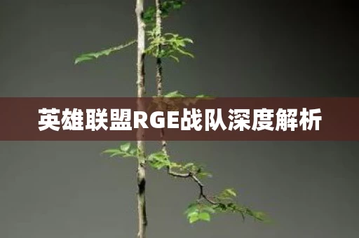 英雄联盟RGE战队深度解析图片