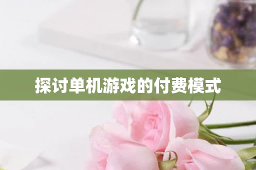 探讨单机游戏的付费模式图片