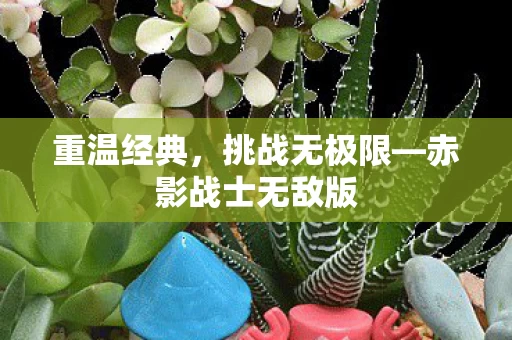赤影战士无敌版图片