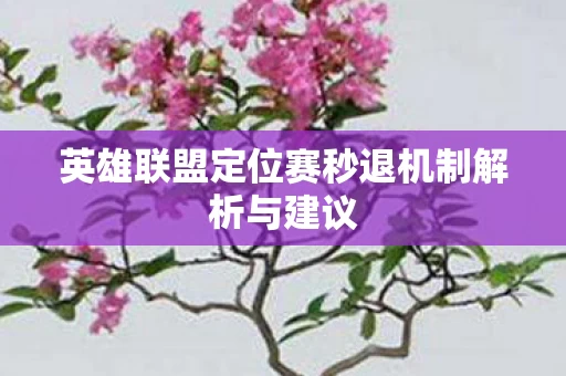 英雄联盟定位赛秒退机制解析与建议图片