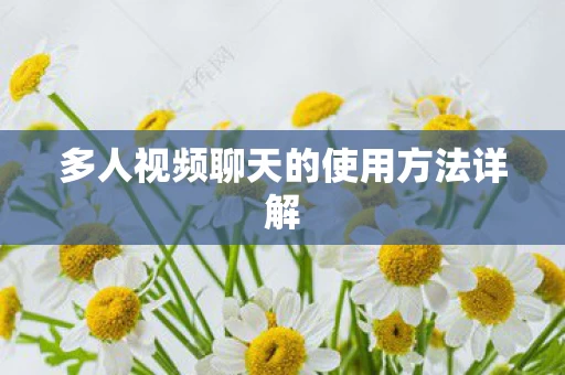 多人视频聊天的使用方法详解图片
