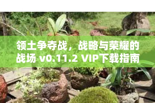 战略与荣耀的战场 v0图片