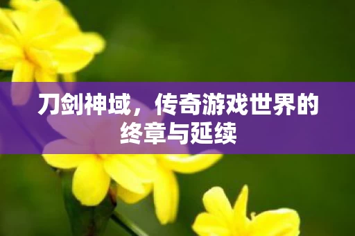 传奇游戏世界的终章与延续图片