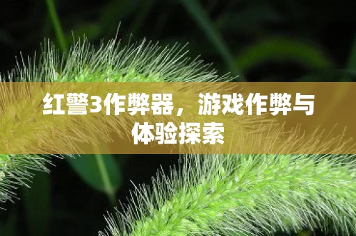 游戏作弊与体验探索图片