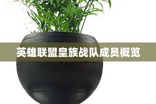 英雄联盟皇族战队成员概览图片
