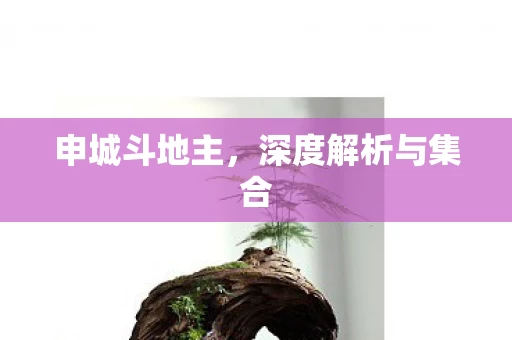 深度解析与集合图片