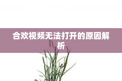 合欢视频无法打开的原因解析图片