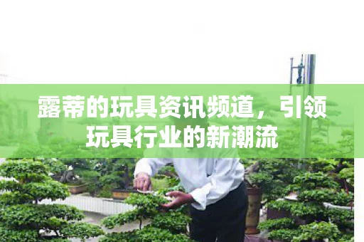 引领玩具行业的新潮流图片