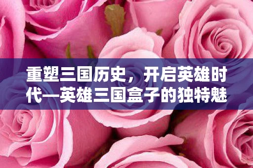 英雄三国盒子的独特魅力图片