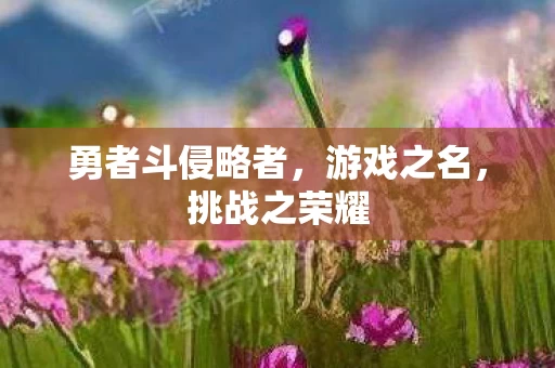 勇者斗侵略者图片
