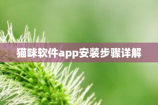 猫咪软件app安装步骤详解图片