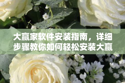 详细步骤教你如何轻松安装大赢家软件图片