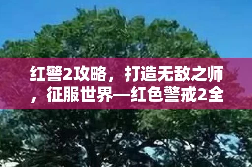 红色警戒2全面攻略图片