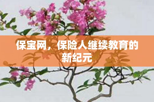保险人继续教育的新纪元图片