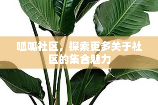 探索更多关于社区的集合魅力图片